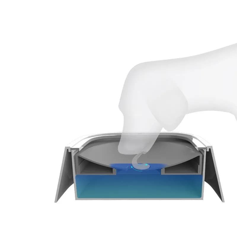 Flotto – Gamelle à eau anti-éclaboussures