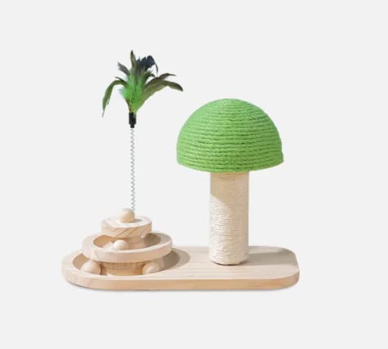 Pack Chat d'intérieur