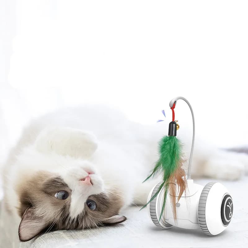 Plumo – Jouet automatique à plume